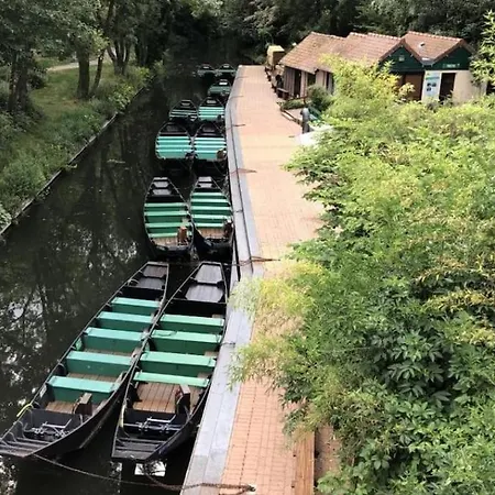 דירה Le St Roch* Nouveau T2 *proche Centre-ville* אמיינס